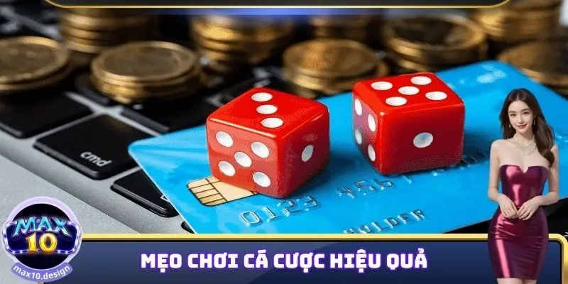 Mẹo chơi Xóc đĩa MAX10 hiệu quả cao